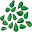 Graines de Jade